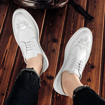 Masimo | Zapatos de Piel Auténtica